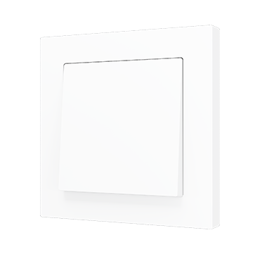 ZS55 - Commutateur simple